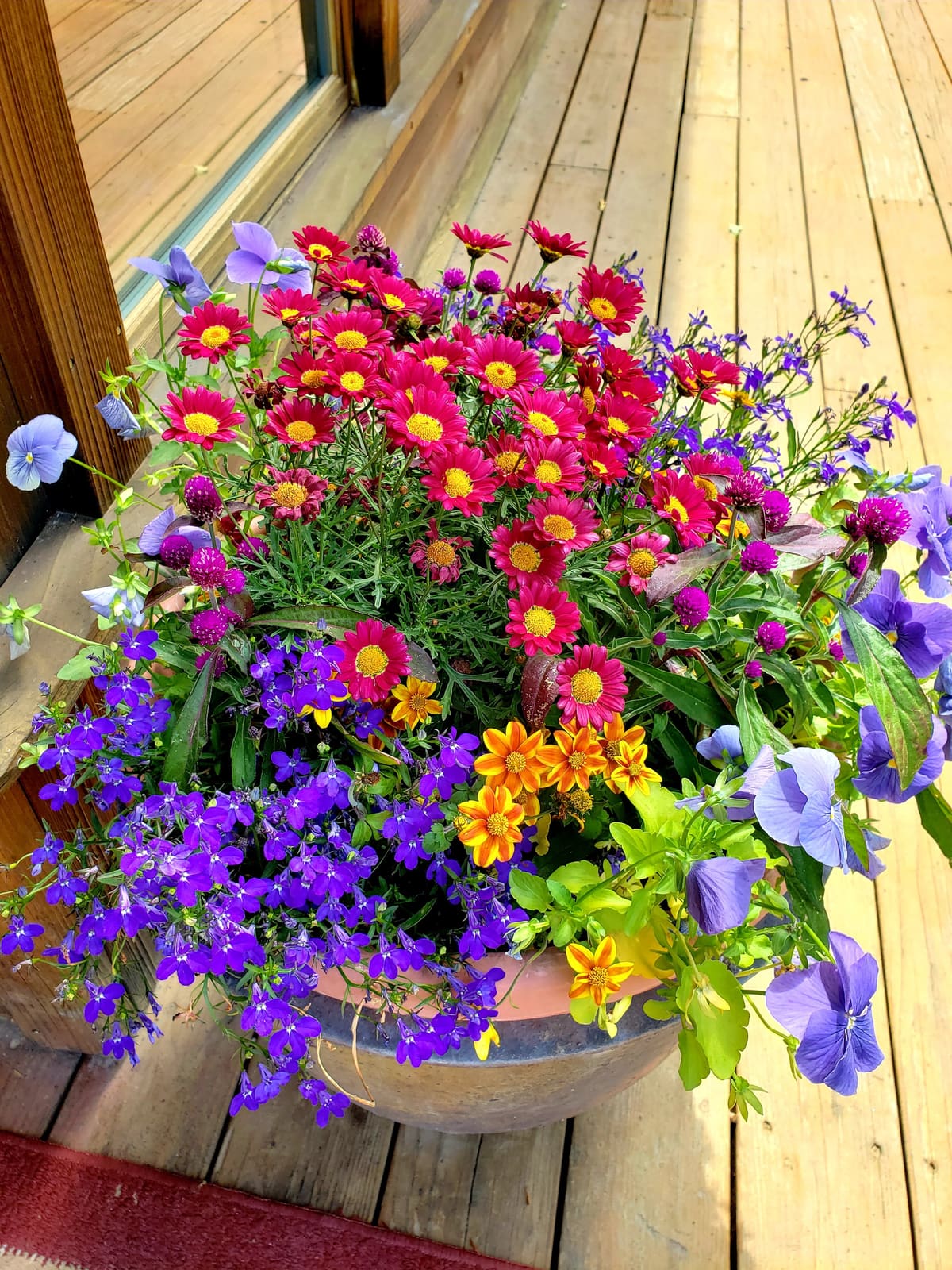 Containers and landscape