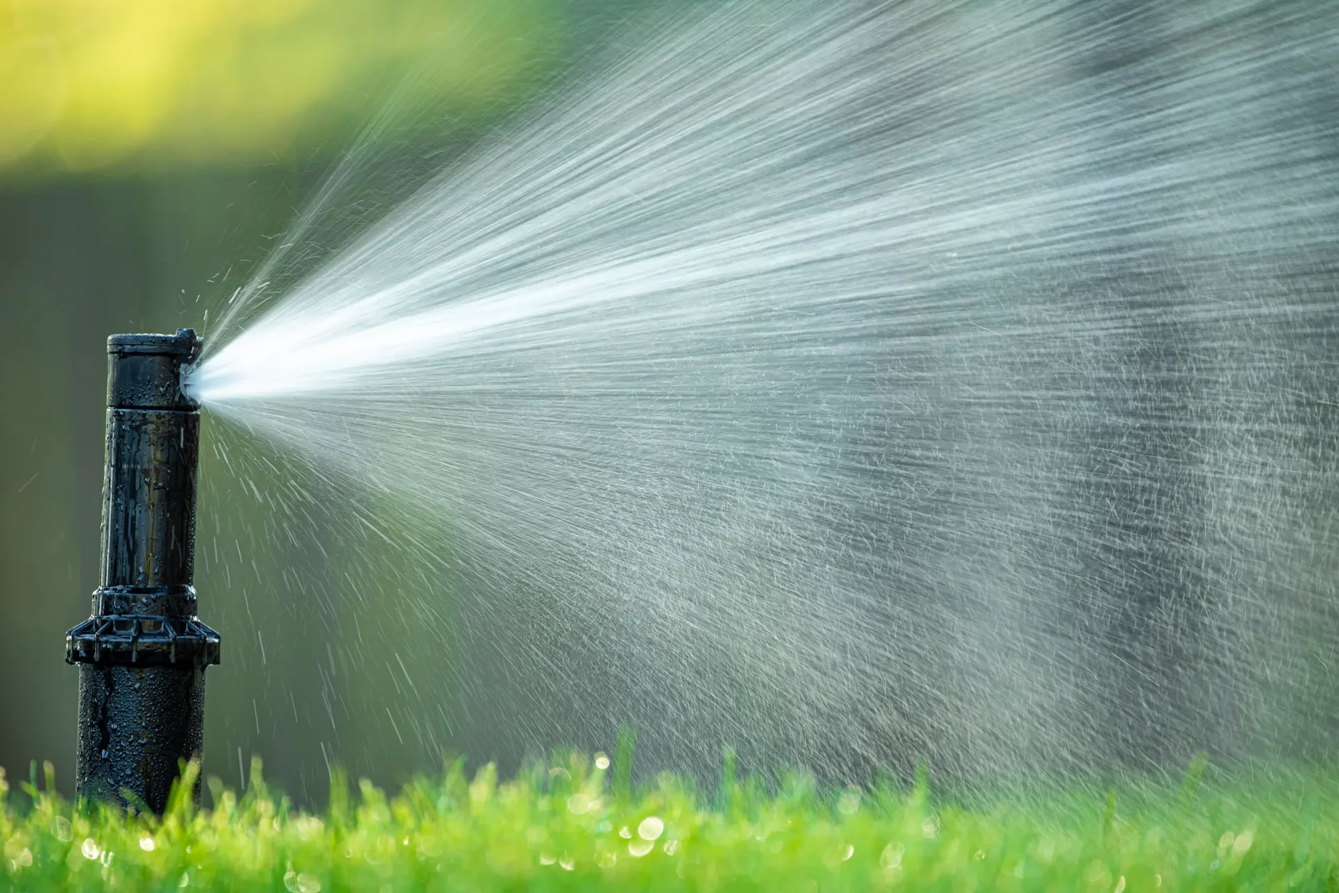Irrigation expertise