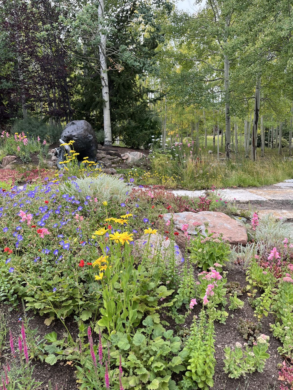 Mulch plant health