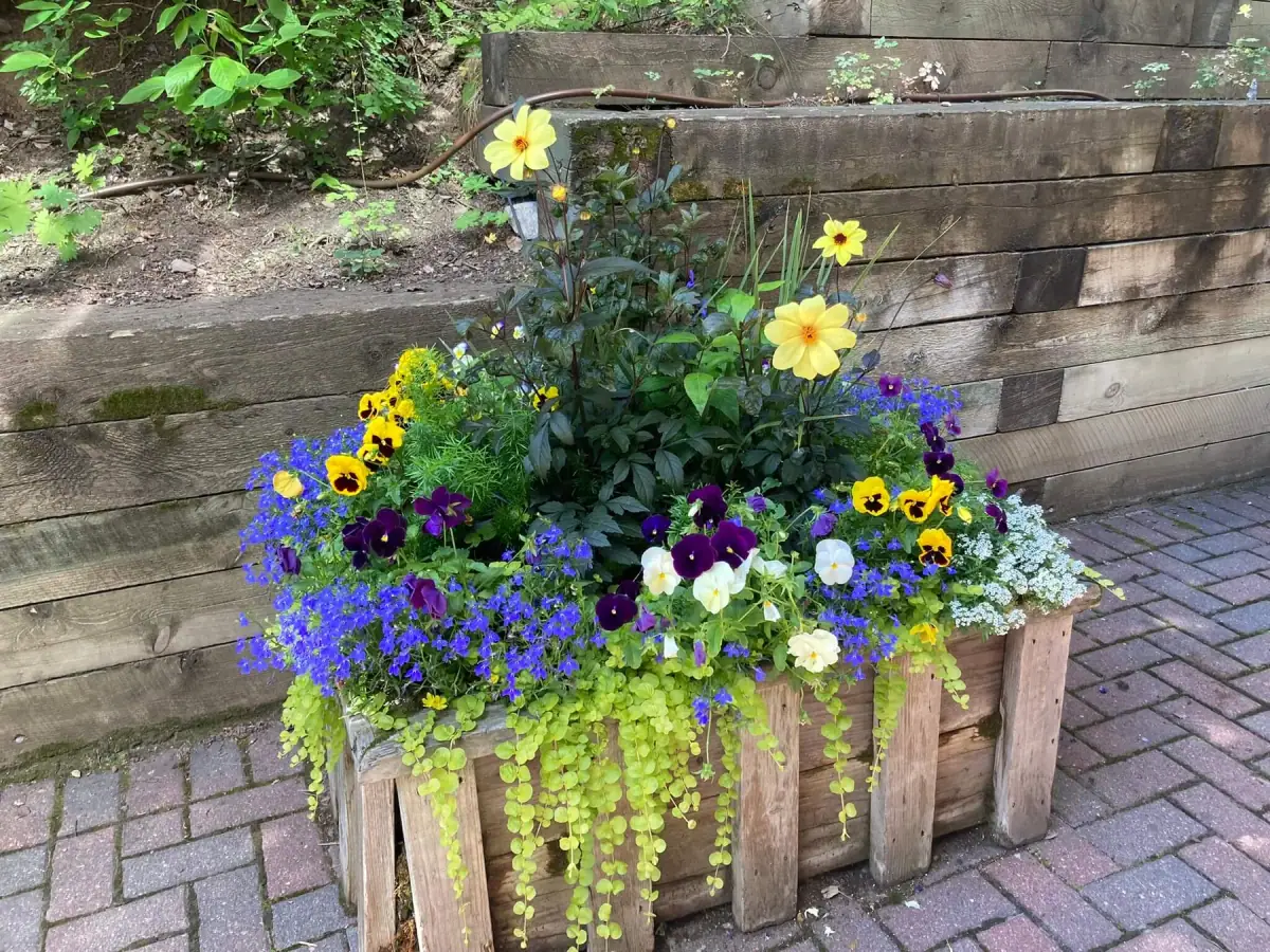 Seasonal plantings