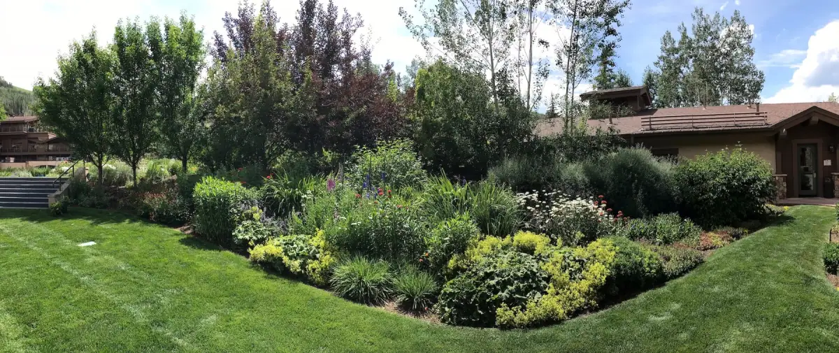 Summit County garden care