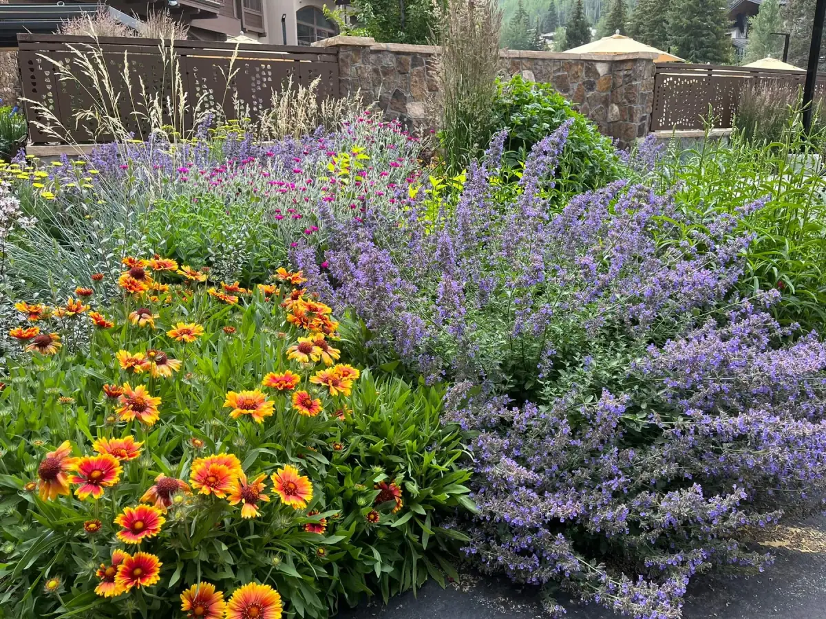 Plant health care in Keystone
