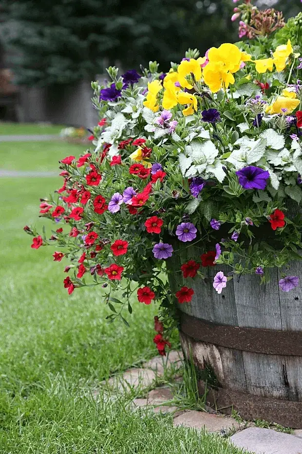Landscaping in Summit and Grand County
