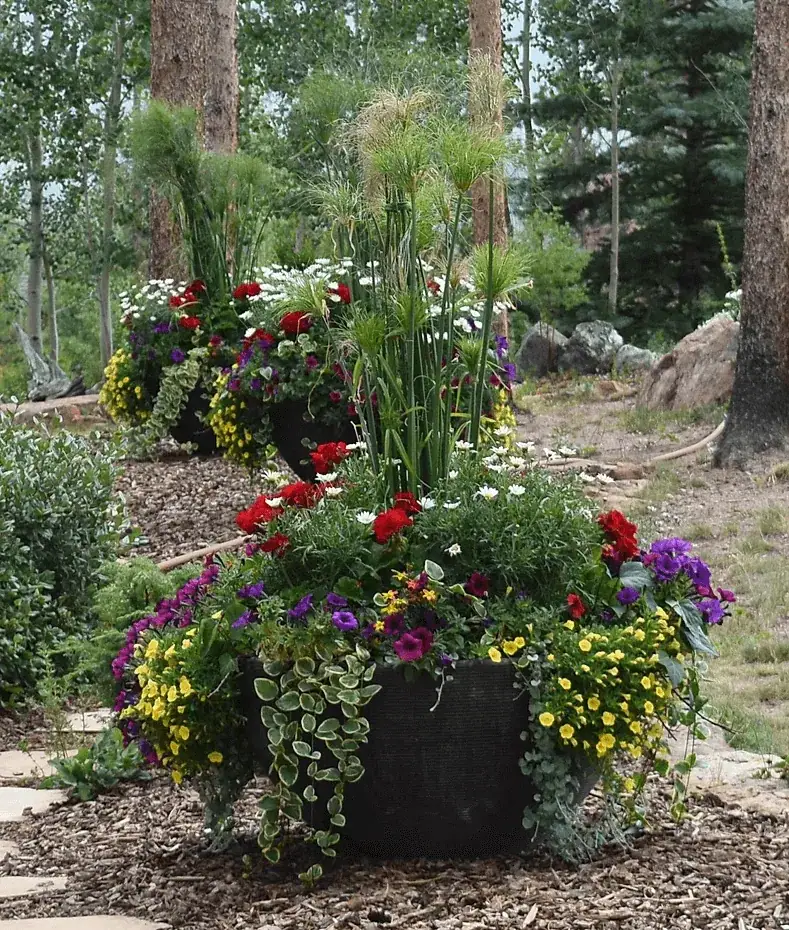 Mountain plantings