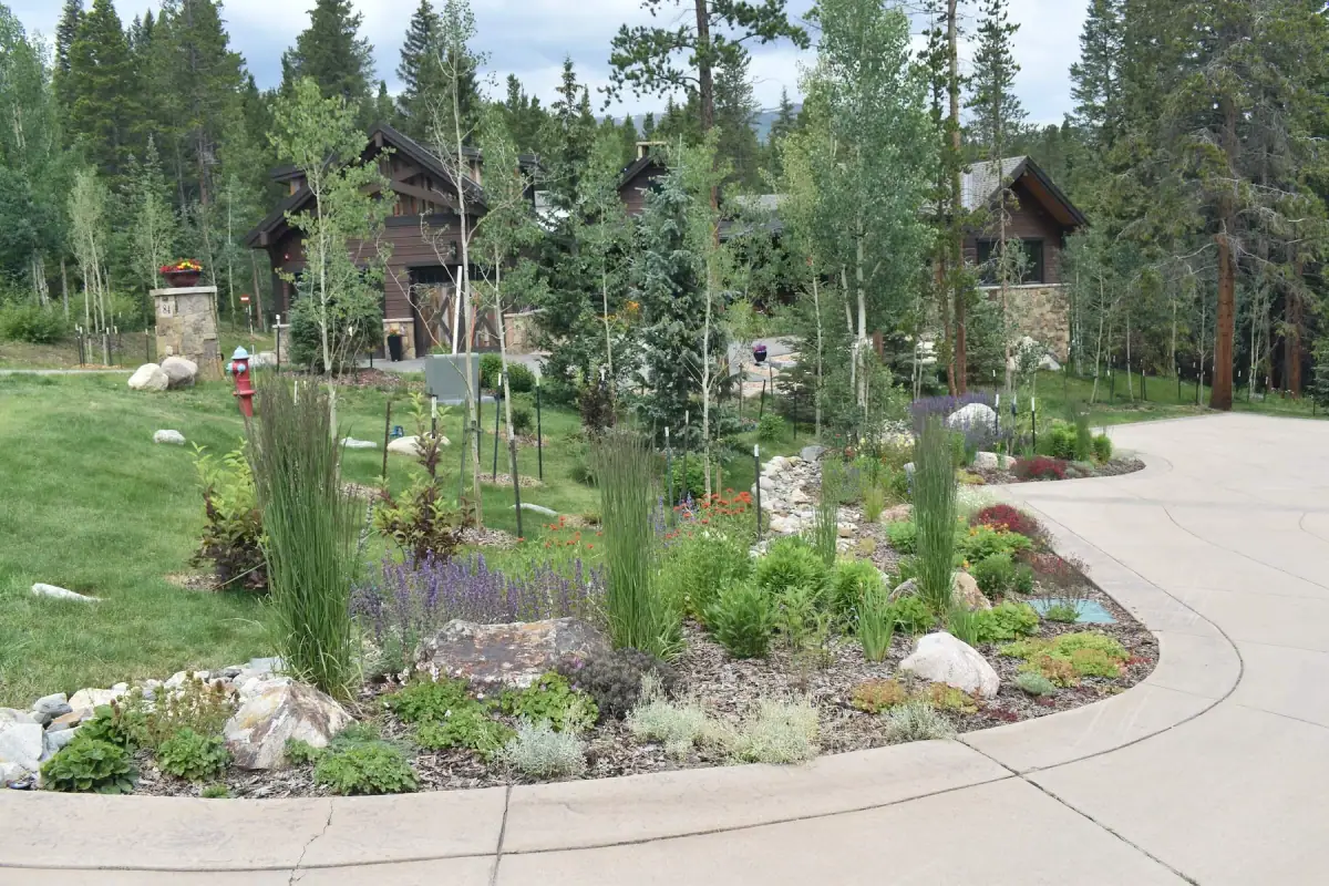 Construction and maintenance Silverthorne