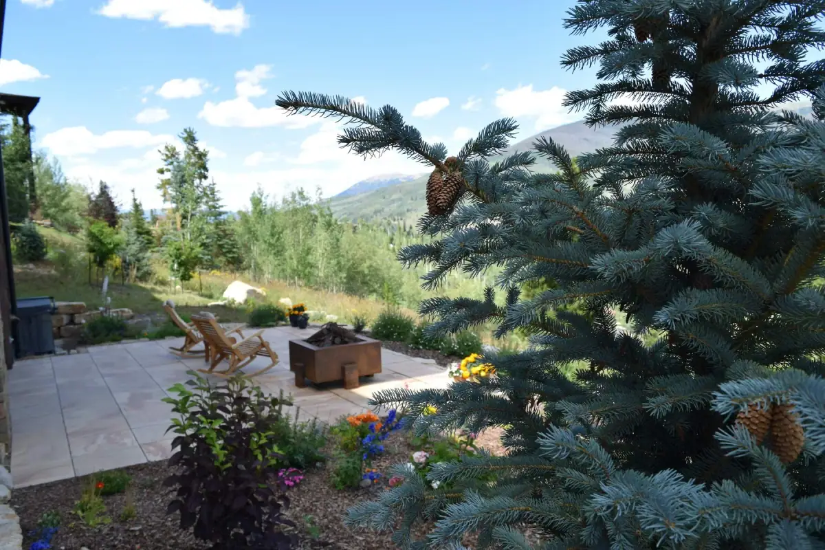 Conceptual landscape design